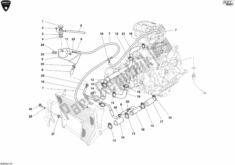 All parts for the Cooling Circuit of the Ducati Superbike 999 RS 2004